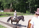 ride a horse..