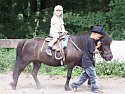 Ride a Horse...
