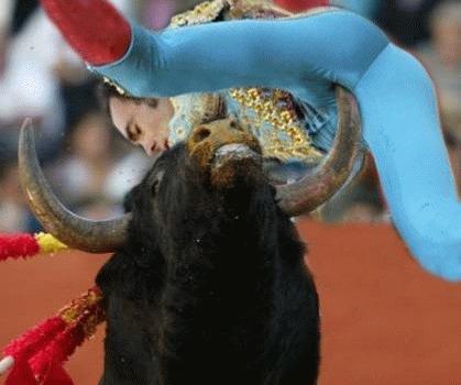 bullfight.jpg - Powered by witze.net!