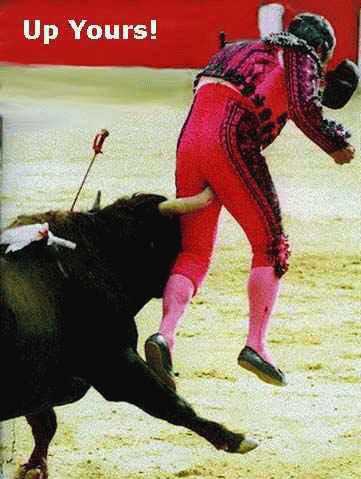 bulls_eye.jpg - Powered by witze.net!