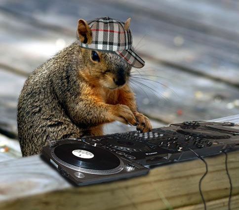 dj_squirrel.jpg - Powered by witze.net!