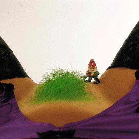 garden_gnome.jpg - Powered by witze.net!