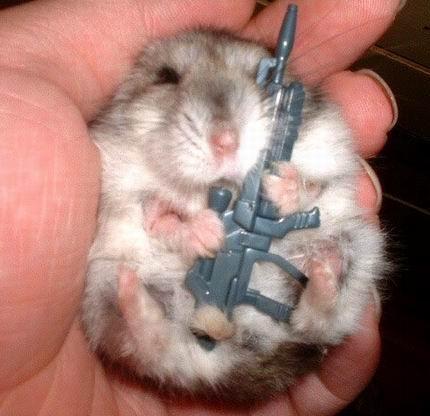 hamster_with_gun.jpg - Powered by witze.net!