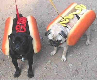 hot_dogs.jpg - Powered by witze.net!