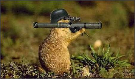 killer_beaver.jpg - Powered by witze.net!