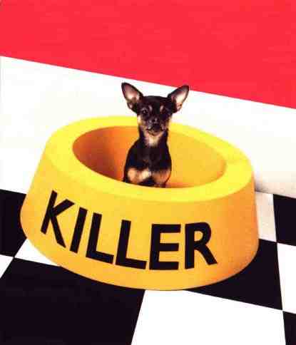 killer_dog.jpg - Powered by witze.net!