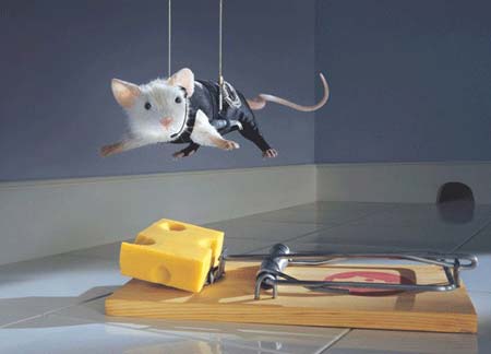 mouse_trap.jpg - Powered by witze.net!