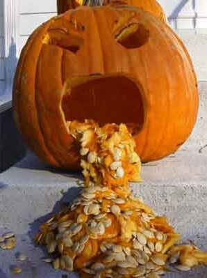 pumpkin.jpg - Powered by witze.net!