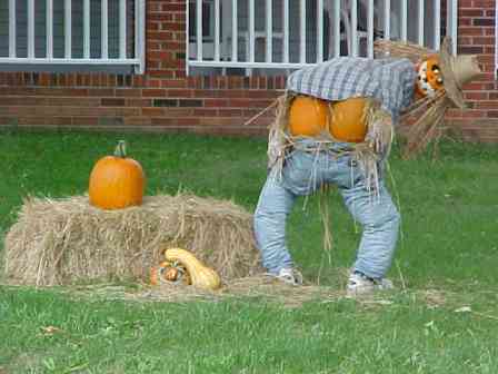 pumpkin_scarecrow.jpg - Powered by witze.net!