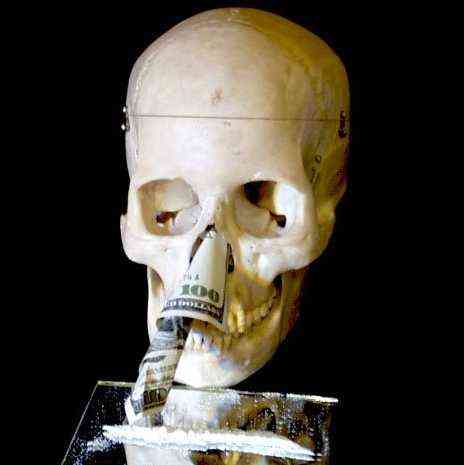 skull_cocaine.jpg - Powered by witze.net!