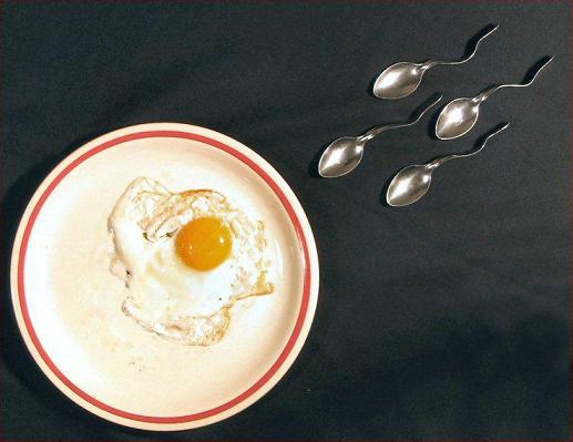 sperms_and_egg.jpg - Powered by witze.net!