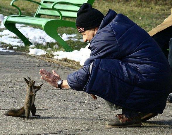 squirrel_high_five.jpg - Powered by witze.net!