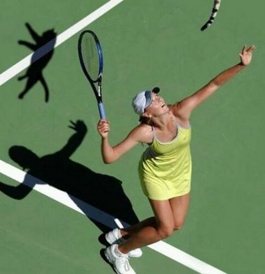 tennis_cat.jpg - Powered by witze.net!