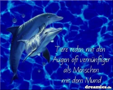 Weisheit-Nr. 10