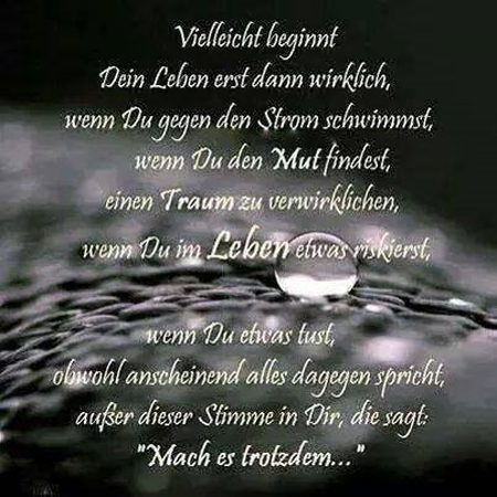 Weisheit-Nr. 102