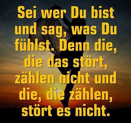 Weisheit-Nr. 146