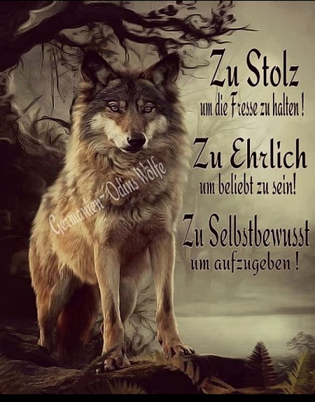 Weisheit-Nr. 154