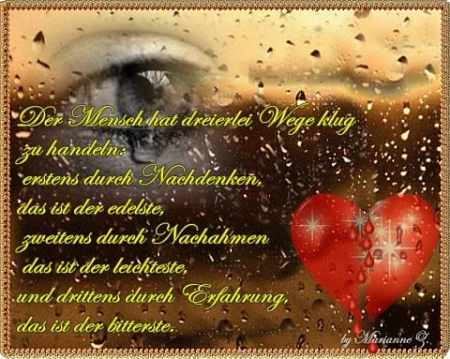 Weisheit-Nr. 40