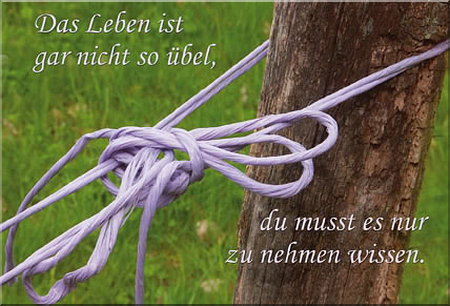 Weisheit-Nr. 50