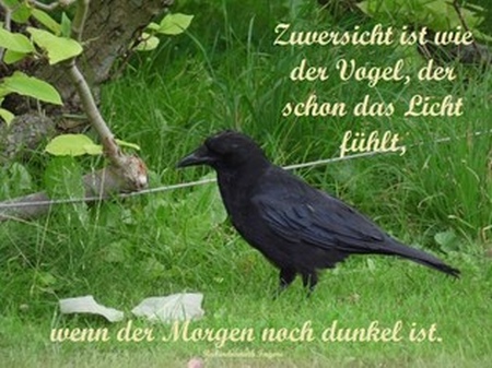 Weisheit-Nr. 93