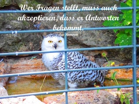 Weisheit-Nr. 94